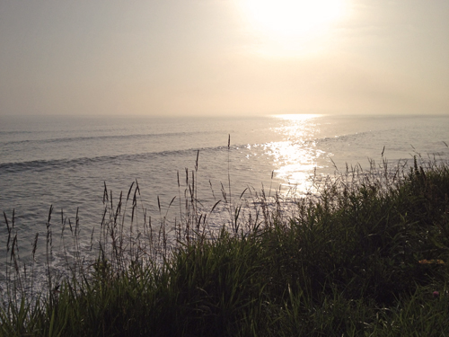 f0003598_18372379.jpg