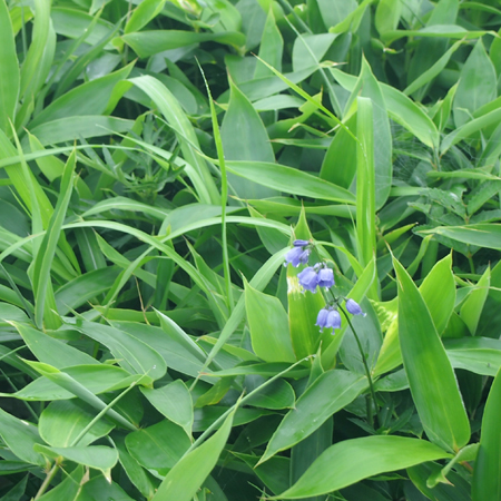 f0003598_18554210.jpg