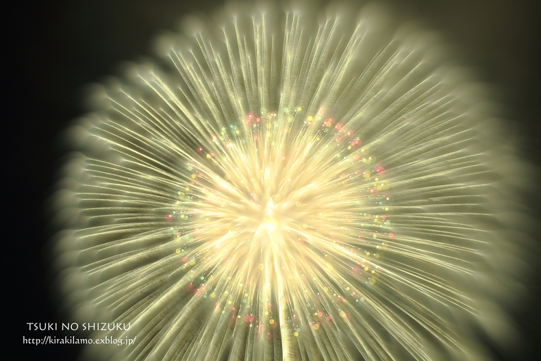 ブロガーに聞く!一眼レフで花火をきれいに撮る方法!_f0176801_21351120.jpg