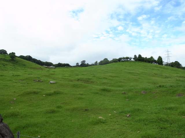f0197703_17443780.jpg