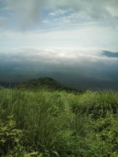 e0028904_2133278.jpg