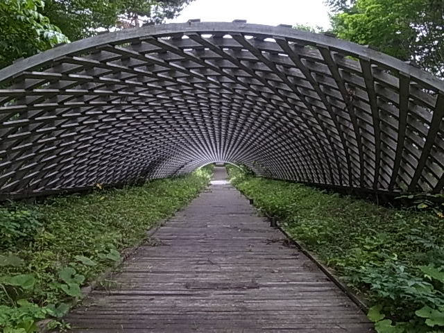 c0093205_22491857.jpg