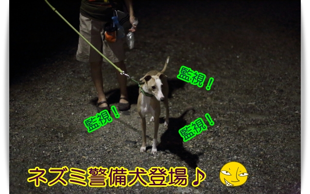 e0100007_2151598.jpg