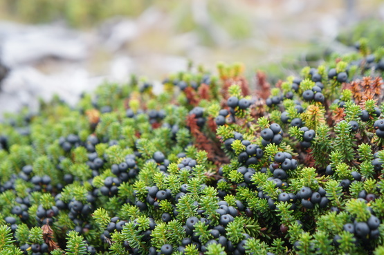 a0248508_202135100.jpg