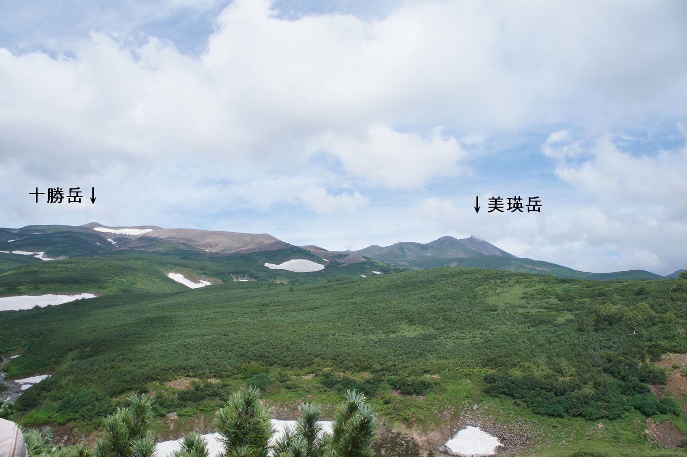 a0248508_206346.jpg