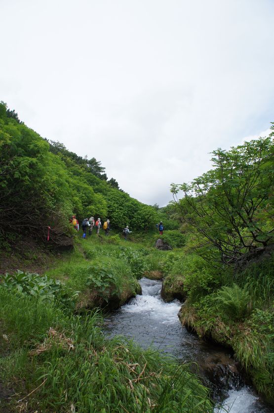 a0248508_2065742.jpg