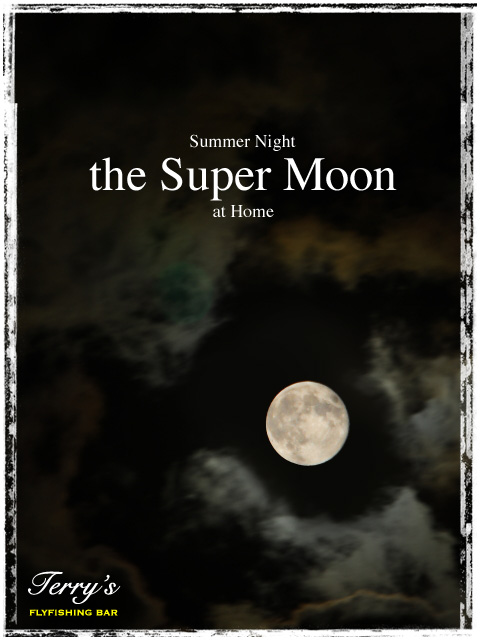 the Super Moon_e0009009_22564360.jpg