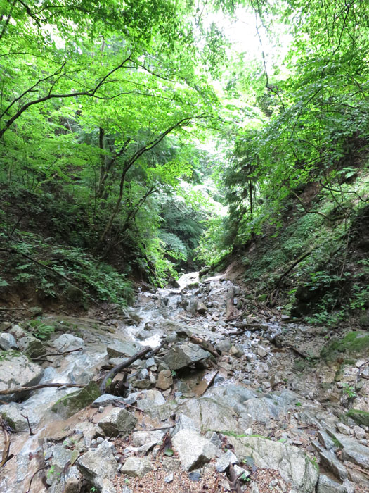 e0077010_21485329.jpg