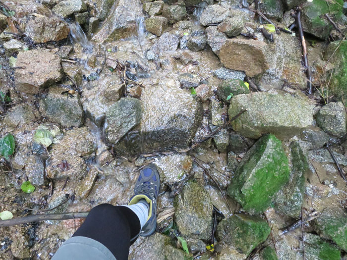 e0077010_2149479.jpg