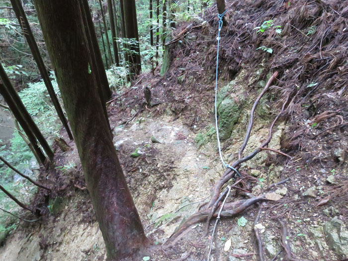 台風の翌日ですが、金剛山へ！！_e0077010_21563534.jpg