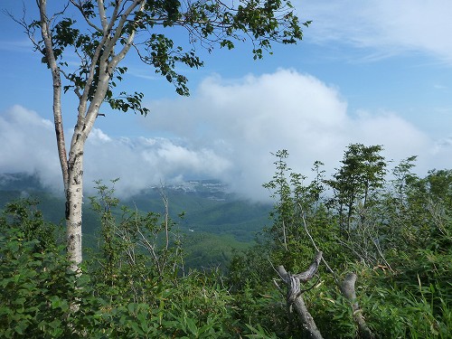 c0048117_15503696.jpg