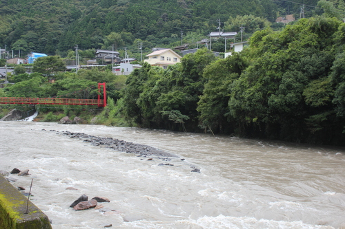 今日の安田川_e0101917_650669.jpg