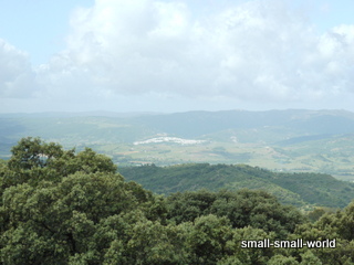 c0039428_22532946.jpg