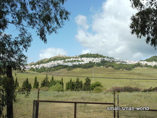 c0039428_22541872.jpg