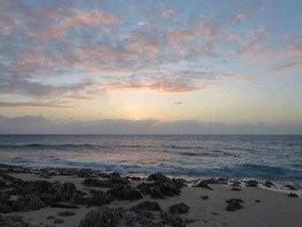 c0051529_10392032.jpg