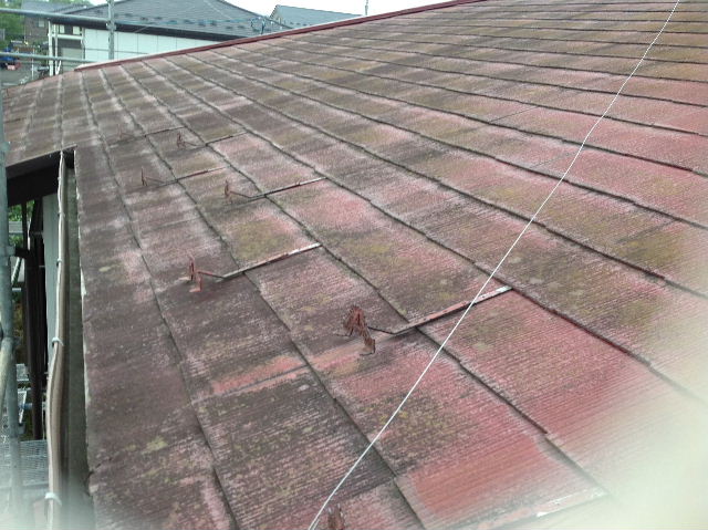 f0031037_1755330.jpg