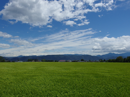 a0014840_2155136.jpg
