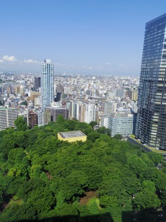 東京一人旅 6. 2日目の夜はのんびり、３日目朝はダラダラ_c0124359_1364180.jpg