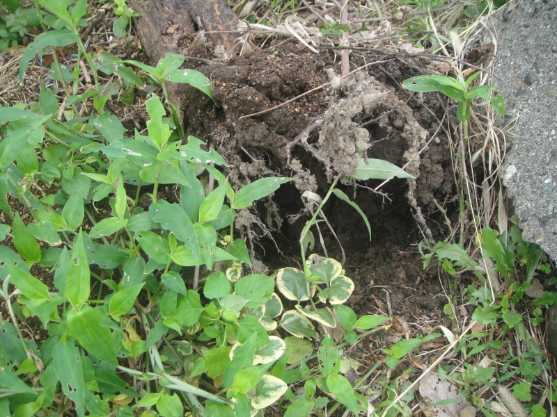 c0108460_21251040.jpg