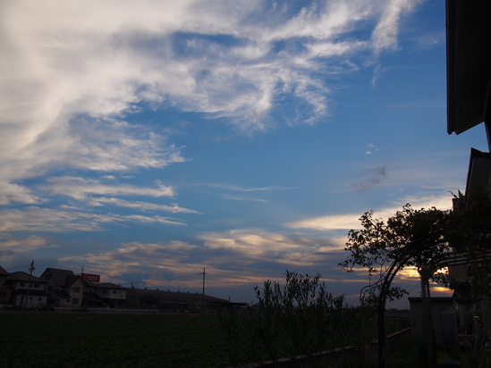 b0194267_20235510.jpg