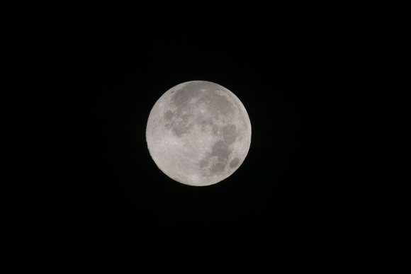 c0127670_43174.jpg