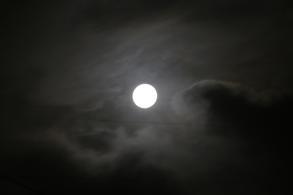 c0127670_45033.jpg