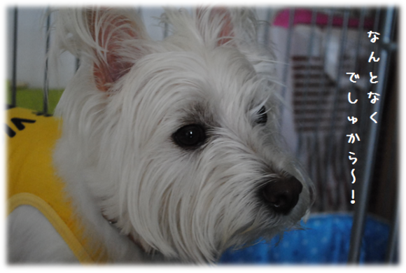 b0242873_01364789.png