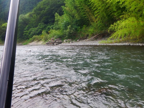 c0176183_16421975.jpg