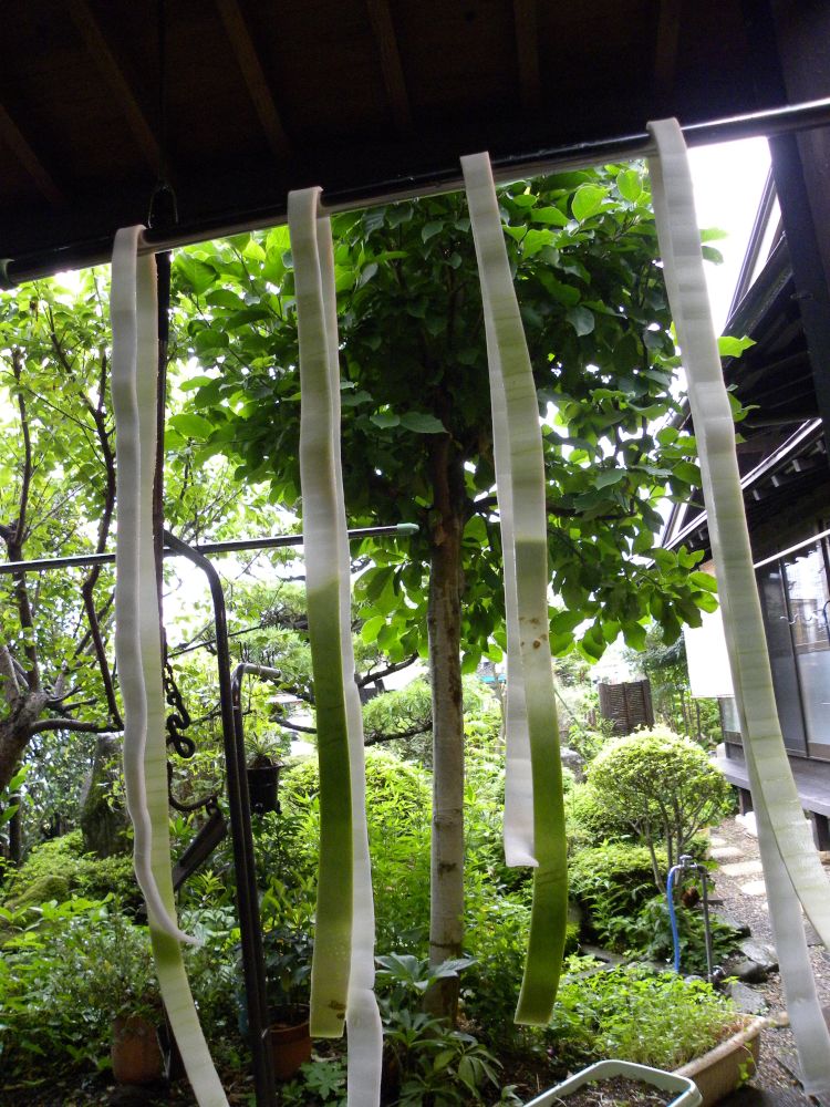 物好き ”爺さん”・・・_b0329588_09163356.jpg