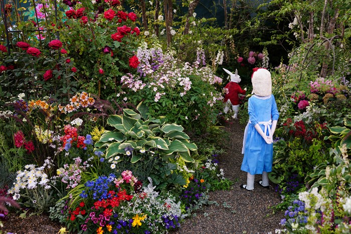 第１６回国際バラとガーデニングショウ 不思議の国のアリス アリスの庭 エーデルワイスphoto