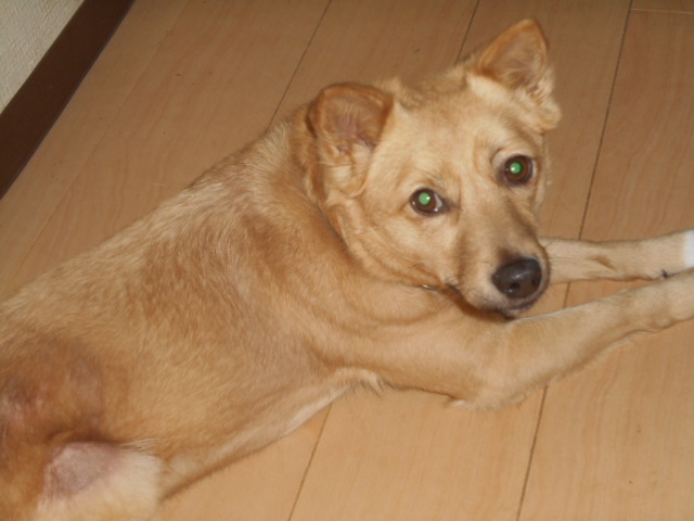 d0027698_10051643.jpeg