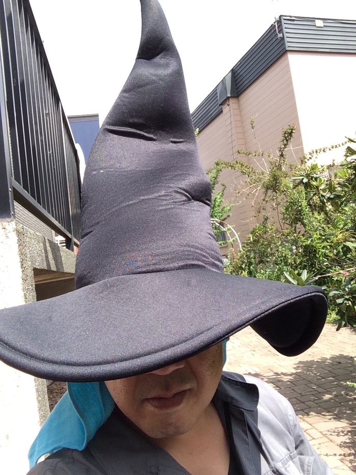 ハリーポッター&草むしり_c0226202_12471920.jpg