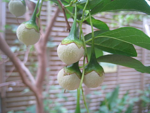 d0046702_142426.jpg