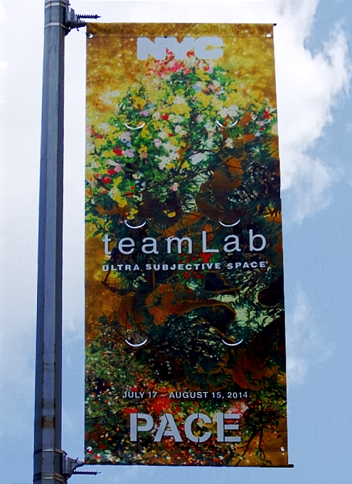 NYのギャラリーで日本のチームラボ（teamLab）が個展 \"Ultra Subjective Space\"_b0007805_2035851.jpg