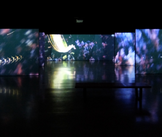 NYのギャラリーで日本のチームラボ（teamLab）が個展 \"Ultra Subjective Space\"_b0007805_2042022.jpg