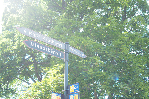 d0063314_0324113.jpg