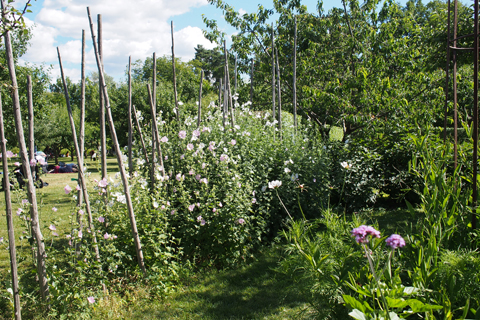 d0063314_18051.jpg