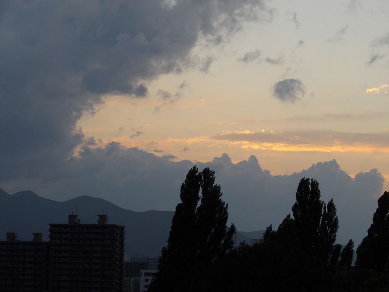 なかなか風がおさまらない札幌_c0025115_19293.jpg