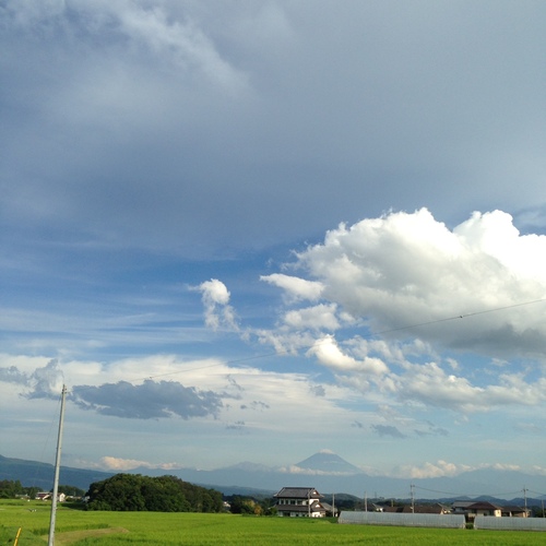 b0154116_13364921.jpg