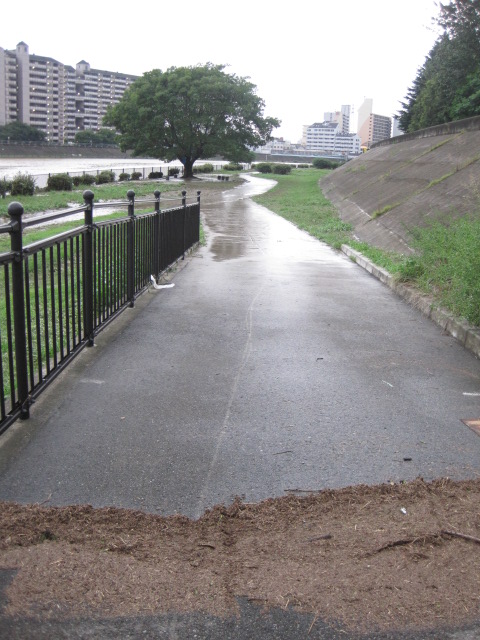 b0167733_1419088.jpg