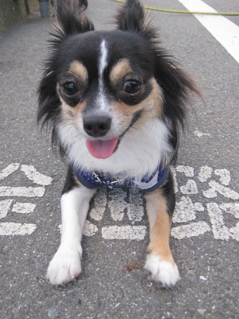 b0167733_14345876.jpg