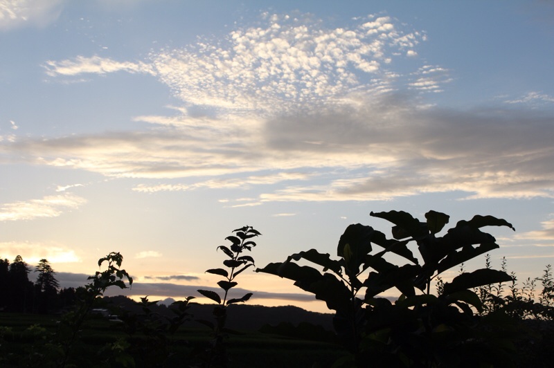 昨日の空_b0132338_08055757.jpg