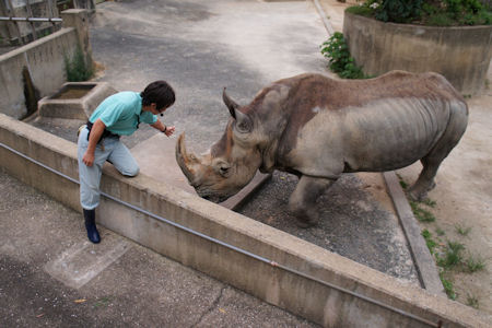 福岡市動物園の夏休み恒例イベント“夜の動物園”_b0181459_1556596.jpg