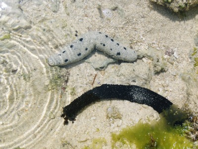 c0180460_239317.jpg