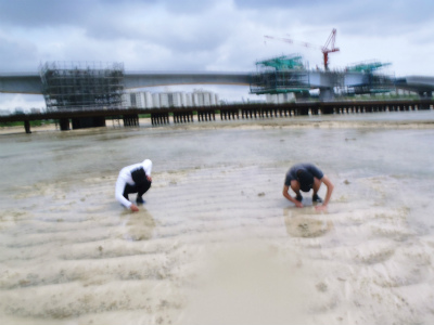 c0180460_8393751.jpg