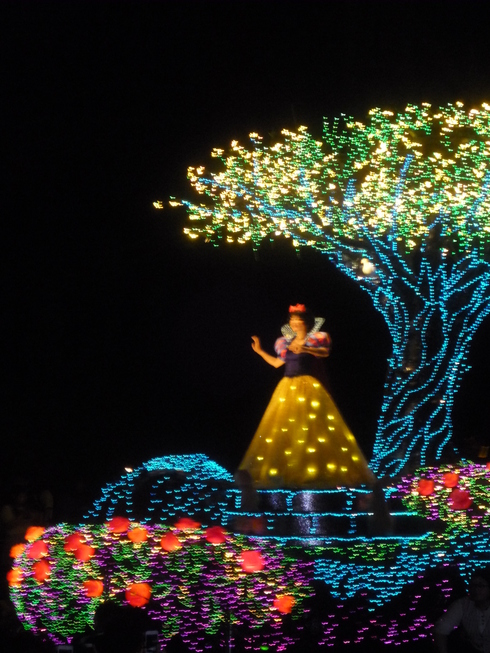お誕生日は　Magic Kingdom 魔法の国　東京ディズニーランド (Tokyo Disneyland)へⅡ♪•*¨*•.¸¸♪♡✝_a0053662_13543093.jpg