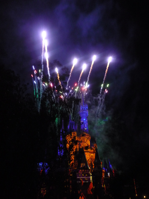 お誕生日は　Magic Kingdom 魔法の国　東京ディズニーランド (Tokyo Disneyland)へⅡ♪•*¨*•.¸¸♪♡✝_a0053662_18253860.jpg