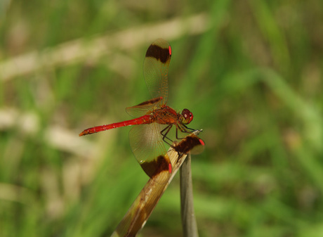 a0201077_22503260.jpg