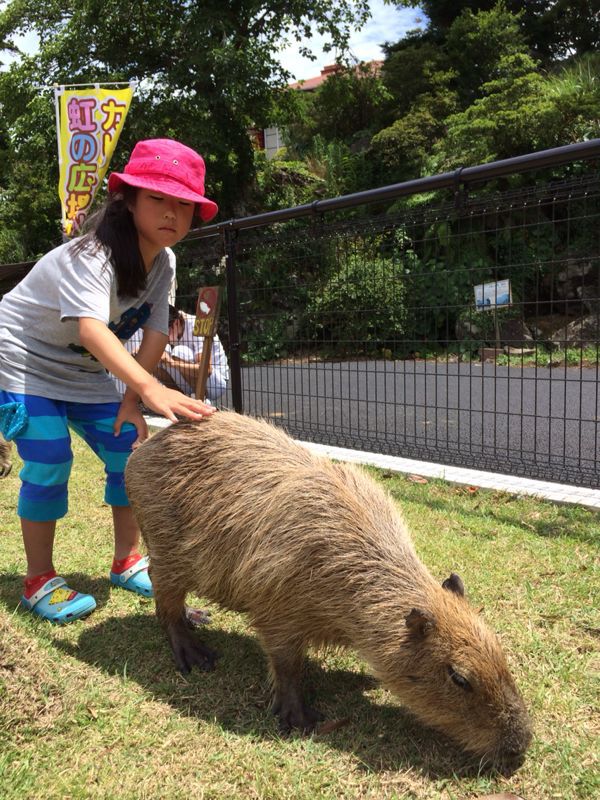 我が家の夏休み その1_c0238377_1431525.jpg