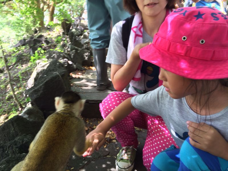 c0238377_1431822.jpg